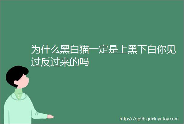 为什么黑白猫一定是上黑下白你见过反过来的吗