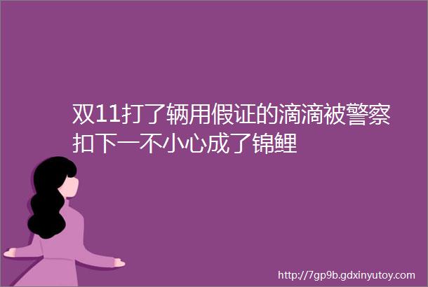 双11打了辆用假证的滴滴被警察扣下一不小心成了锦鲤