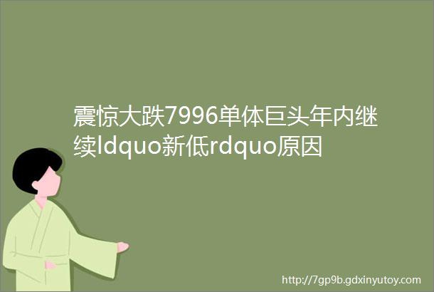 震惊大跌7996单体巨头年内继续ldquo新低rdquo原因找到了