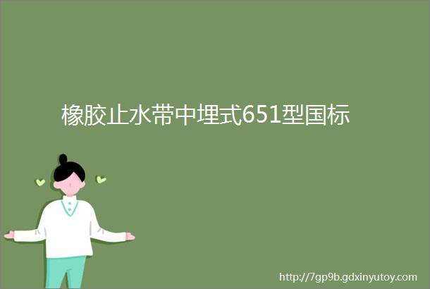 橡胶止水带中埋式651型国标