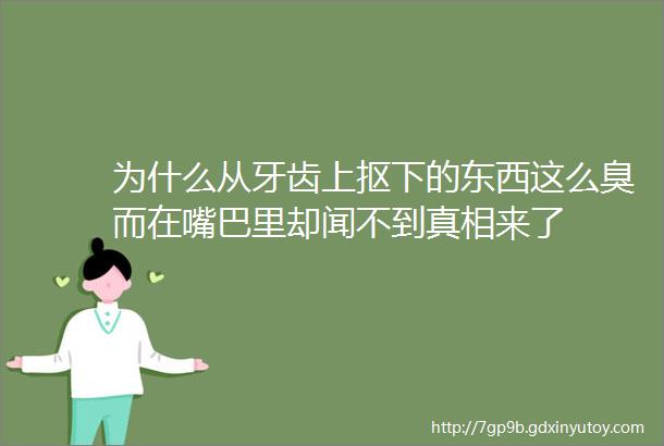 为什么从牙齿上抠下的东西这么臭而在嘴巴里却闻不到真相来了