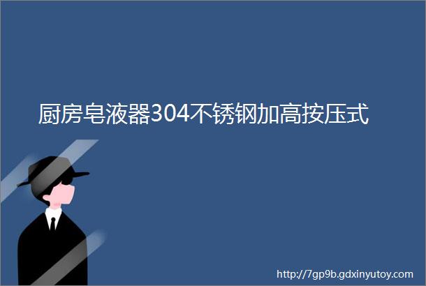 厨房皂液器304不锈钢加高按压式