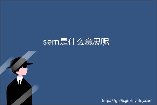 sem是什么意思呢