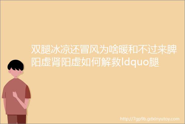 双腿冰凉还冒风为啥暖和不过来脾阳虚肾阳虚如何解救ldquo腿上生风rdquo