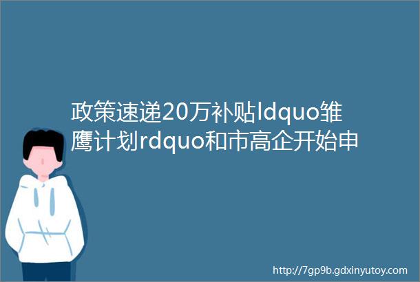 政策速递20万补贴ldquo雏鹰计划rdquo和市高企开始申报